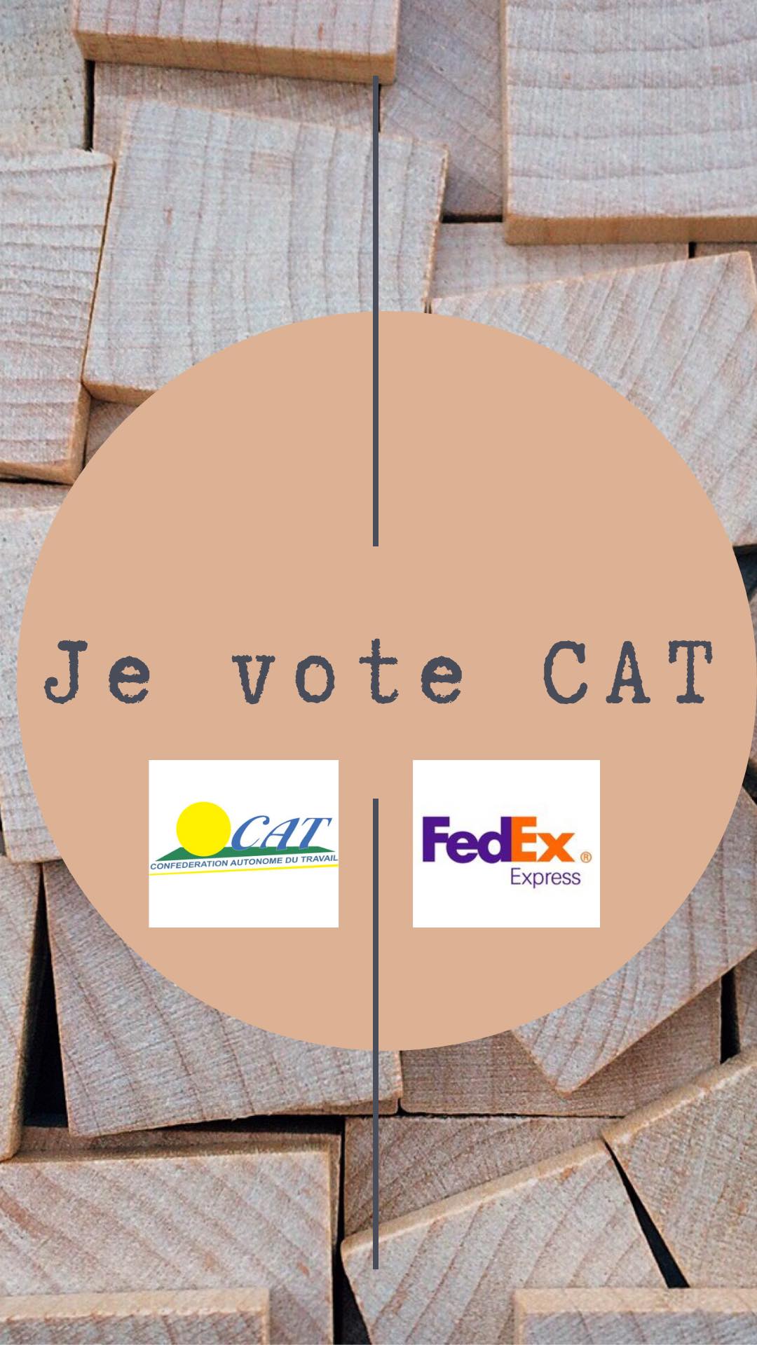 C.A.T. FedEx : succès aux élections du C.S.E.