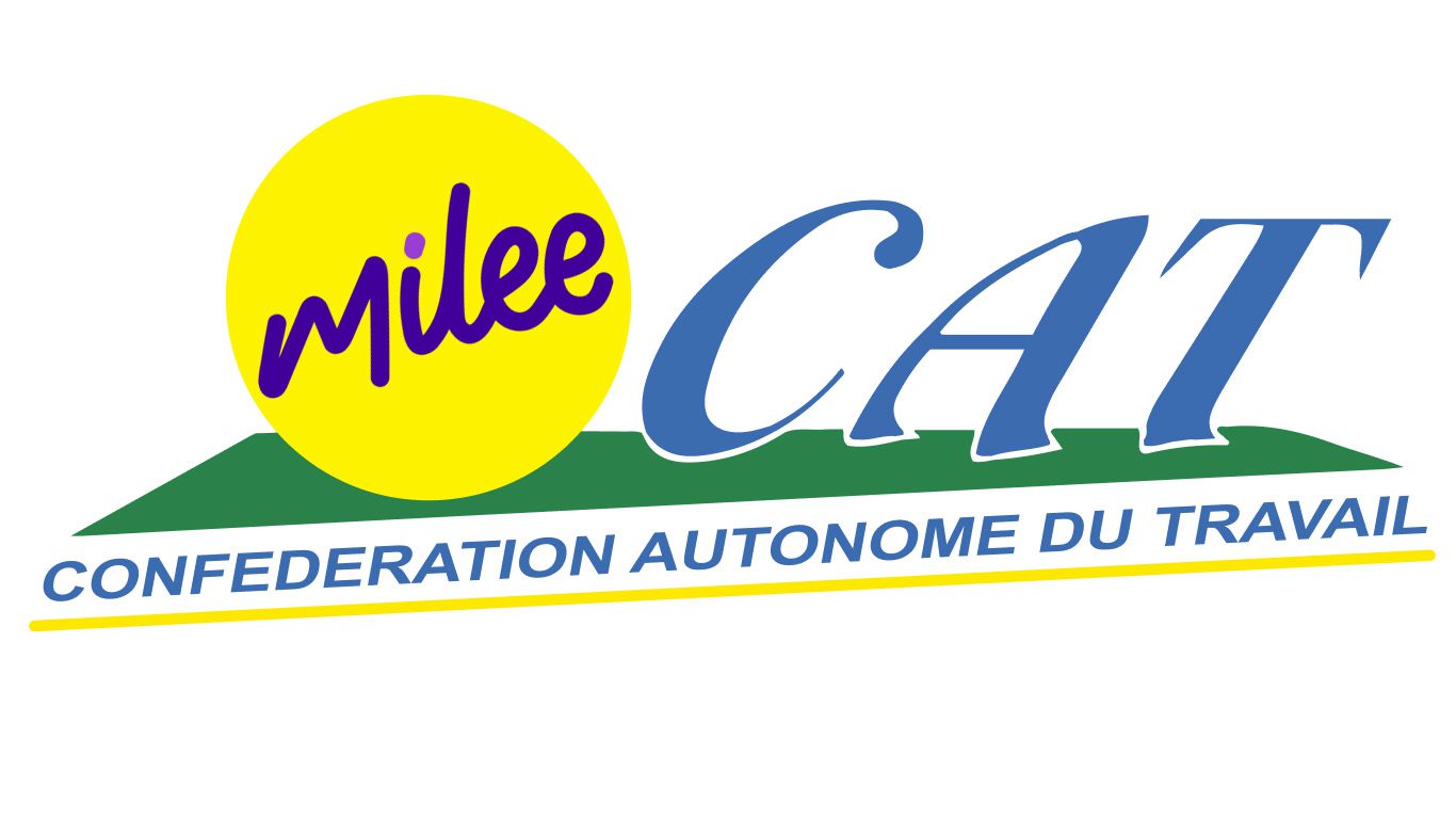 Réunion des adhérents C.A.T. Milee en visio